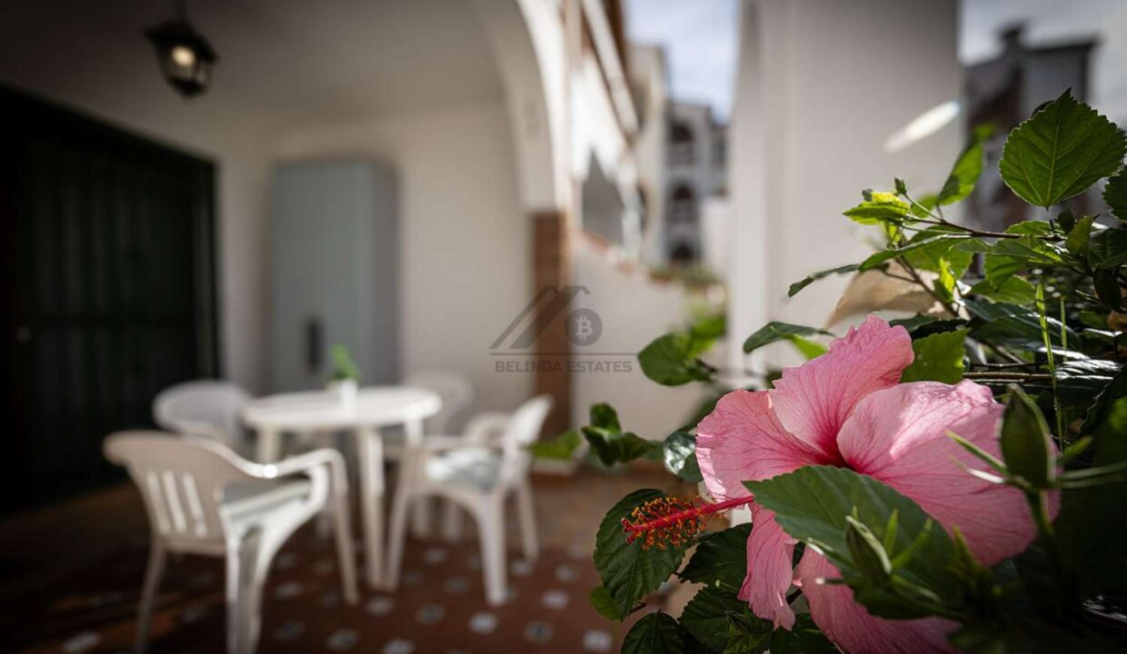 property_236508_357